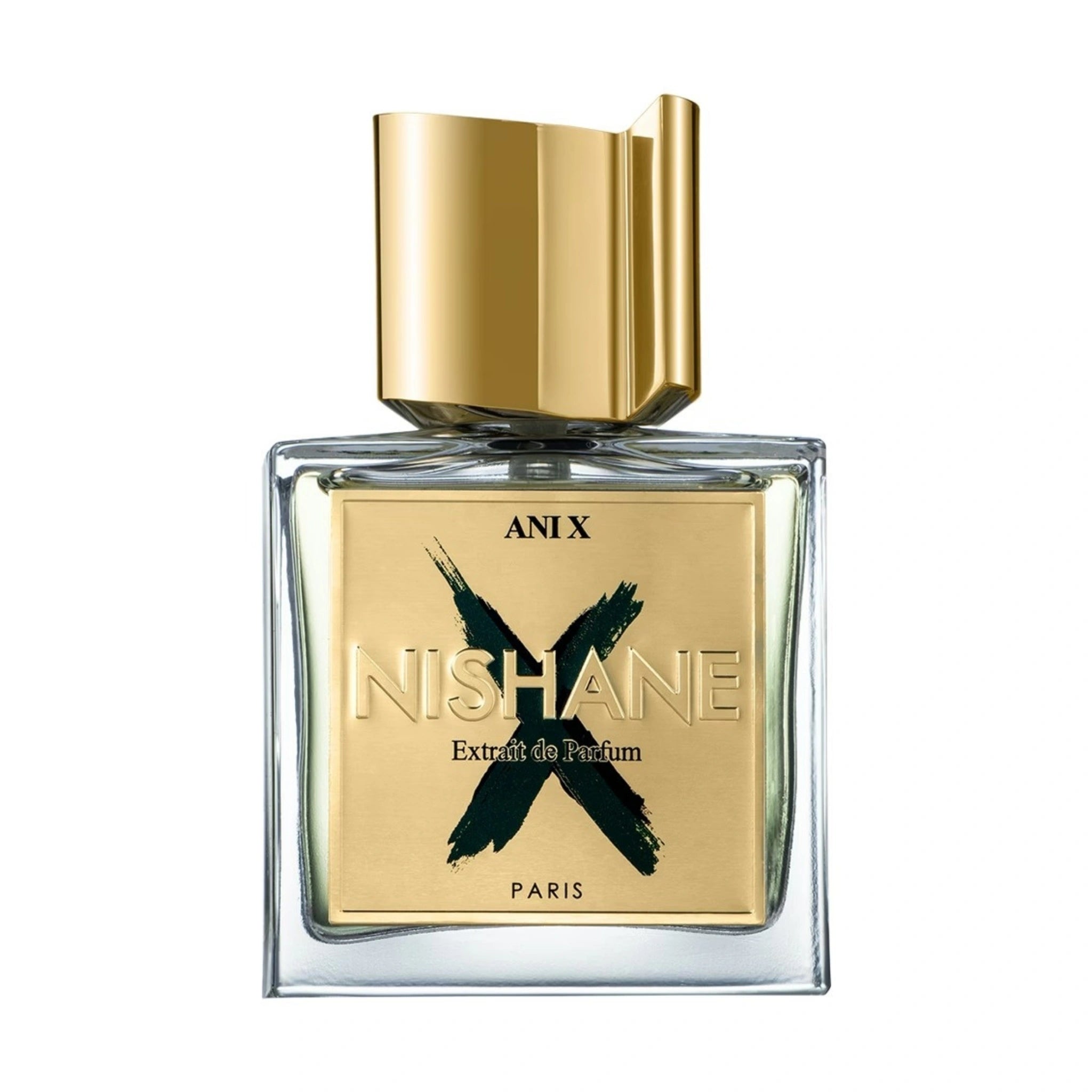 Ani X